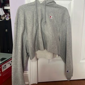 Cropped champion sweater
